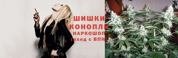 дживик Армянск