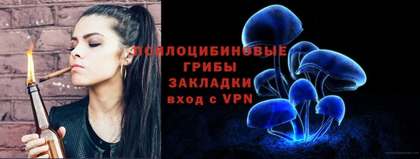 прущий лед Арсеньев