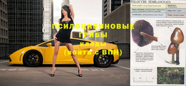 дживик Армянск