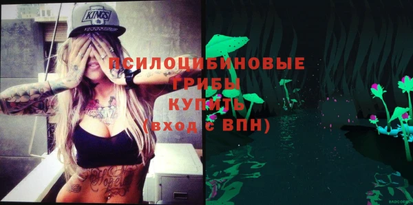 дживик Армянск