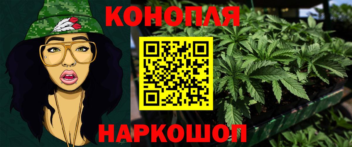 Кирово-Чепецк  Бошки марихуана AK-47  Вход с VPN  Шишки марихуана индика 